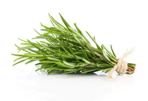 Rosemary